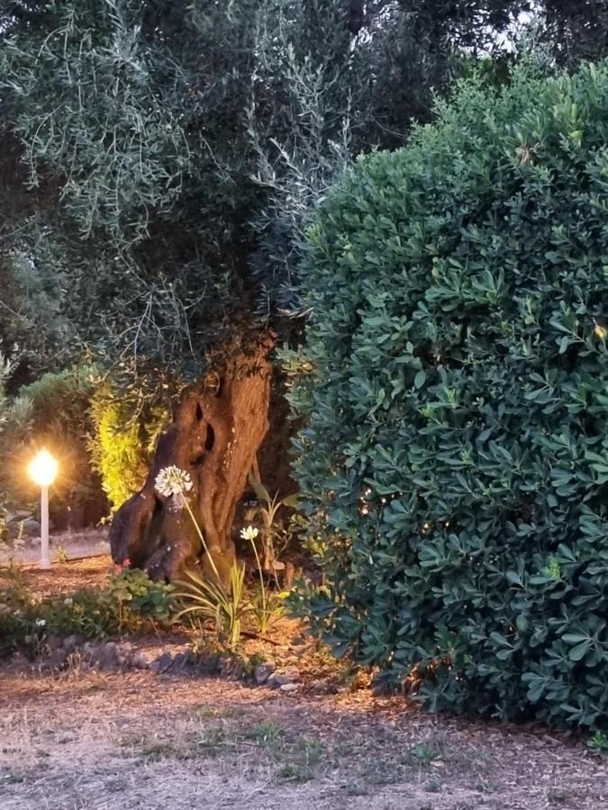 Cozy Corfu Bungalow 5 Minutes To Aqualand Agios Ioannis  Exterior photo